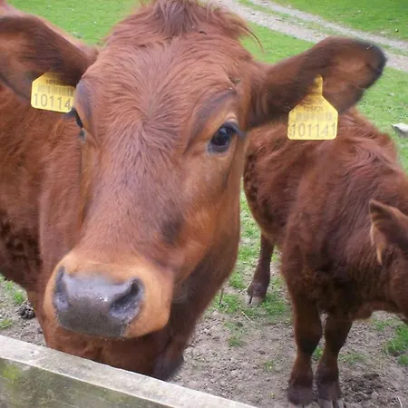 Ullathorns Farm Vakantieboerderij *