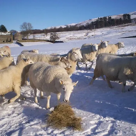 Ullathorns Farm * Kirkby Lonsdale
