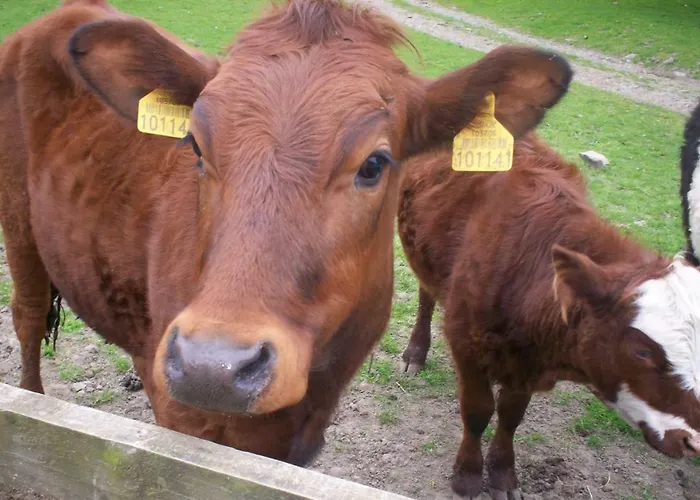 Ullathorns Farm Bauernhof *