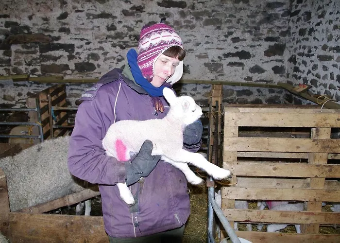Ullathorns Farm Lantgård Kirkby Lonsdale