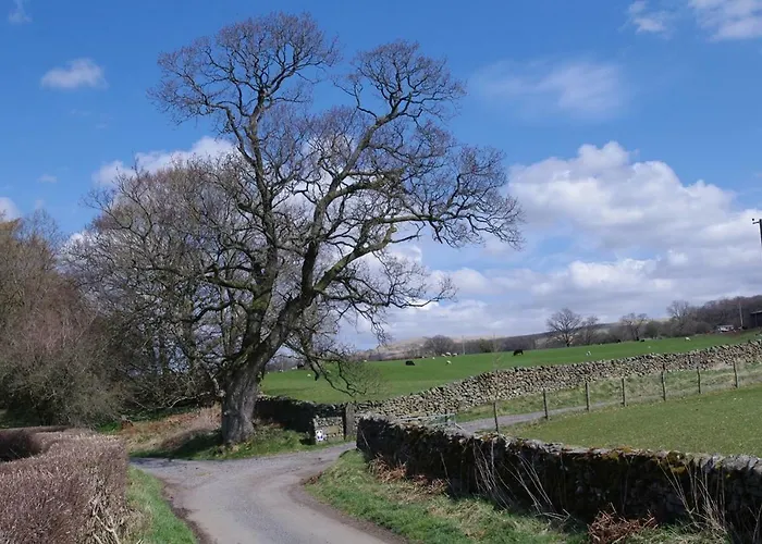 Ullathorns Farm Lantgård Kirkby Lonsdale