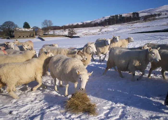 Ullathorns Farm * Kirkby Lonsdale